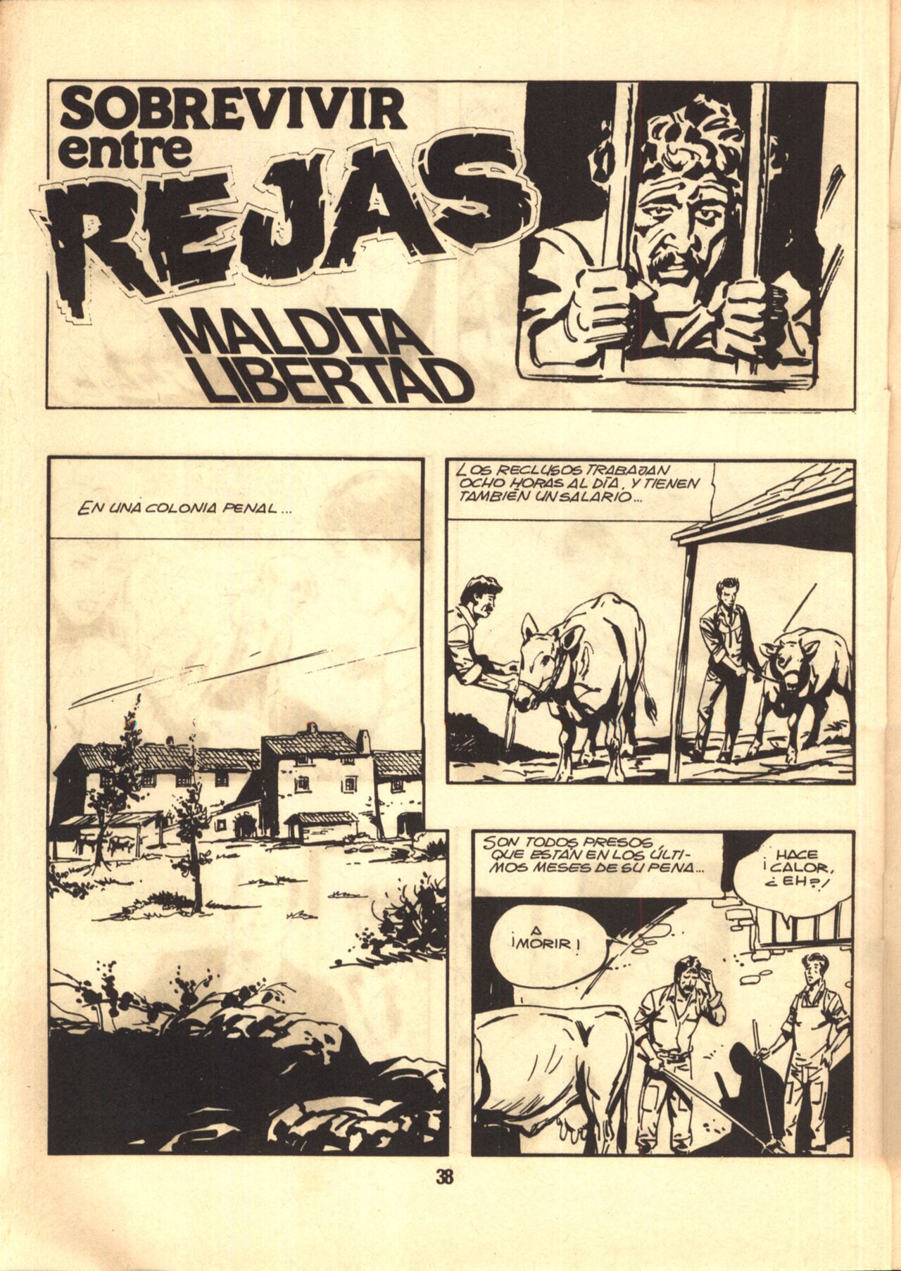 Rejas N°19 image number 37