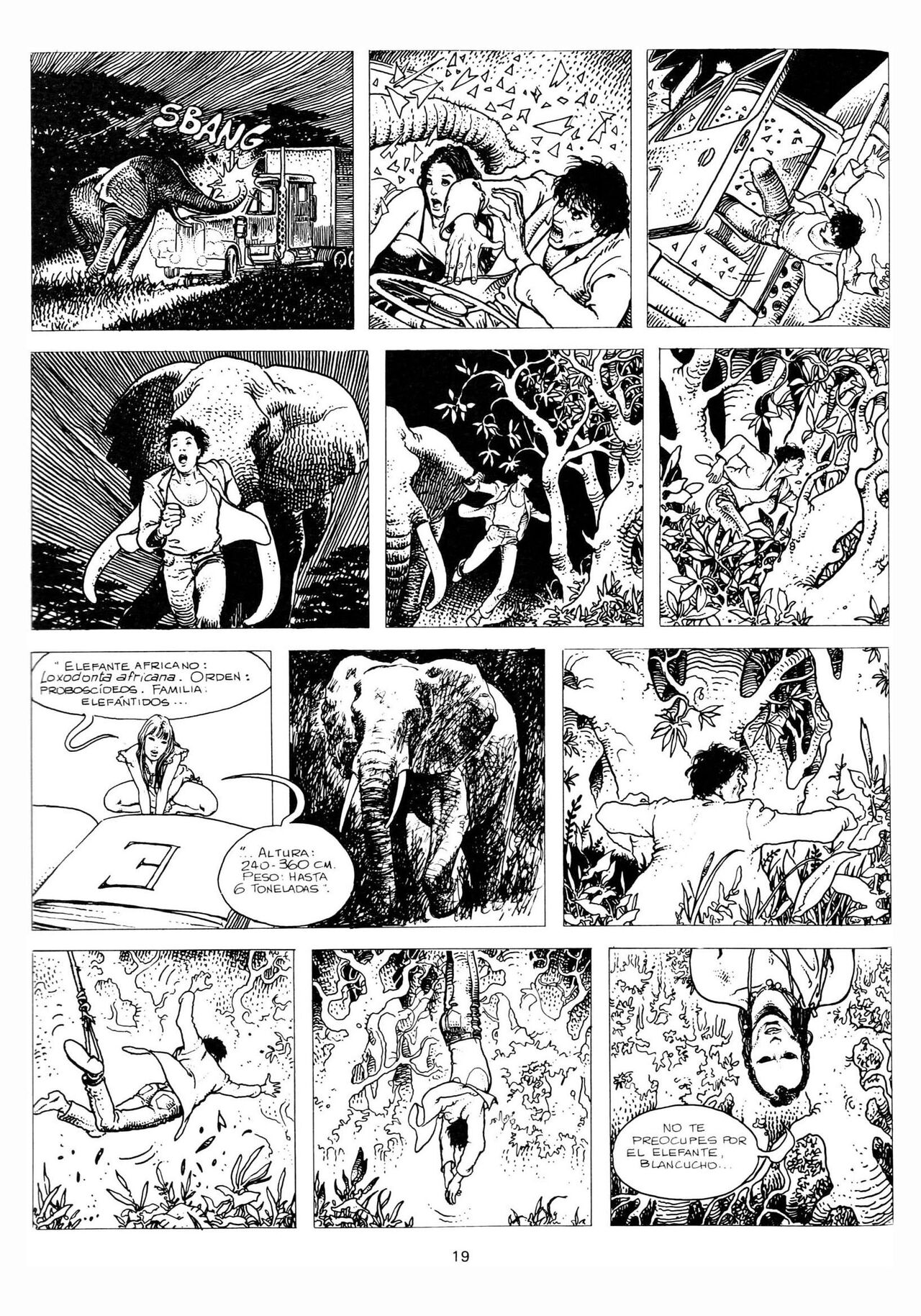 Las Aventuras Africanas De Giuseppe Bergman 2 image number 13