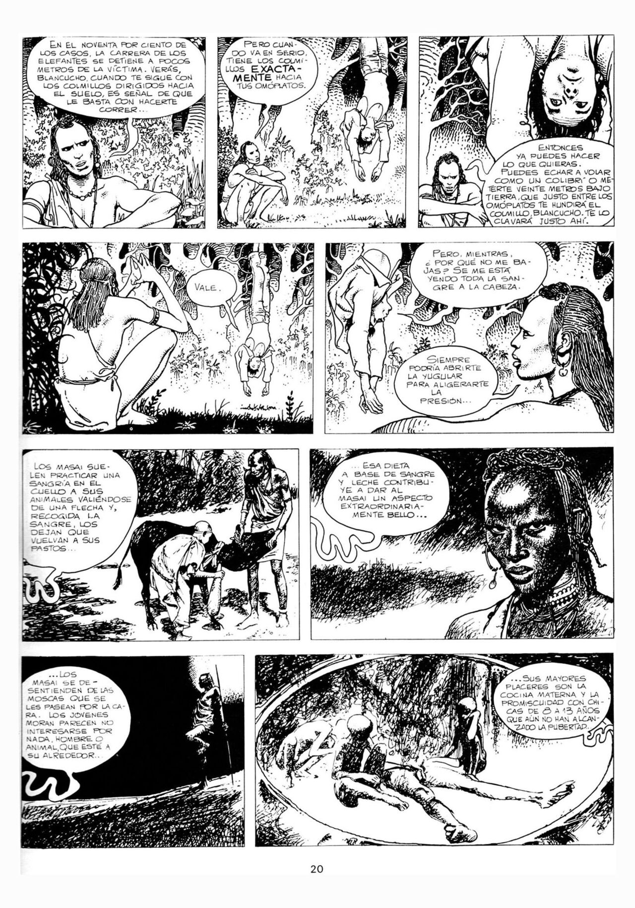 Las Aventuras Africanas De Giuseppe Bergman 2 image number 14