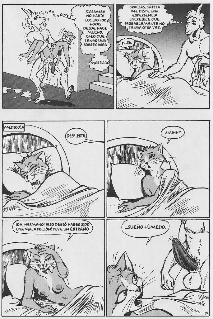 Cat Burglar  Gata Ladrona image number 9