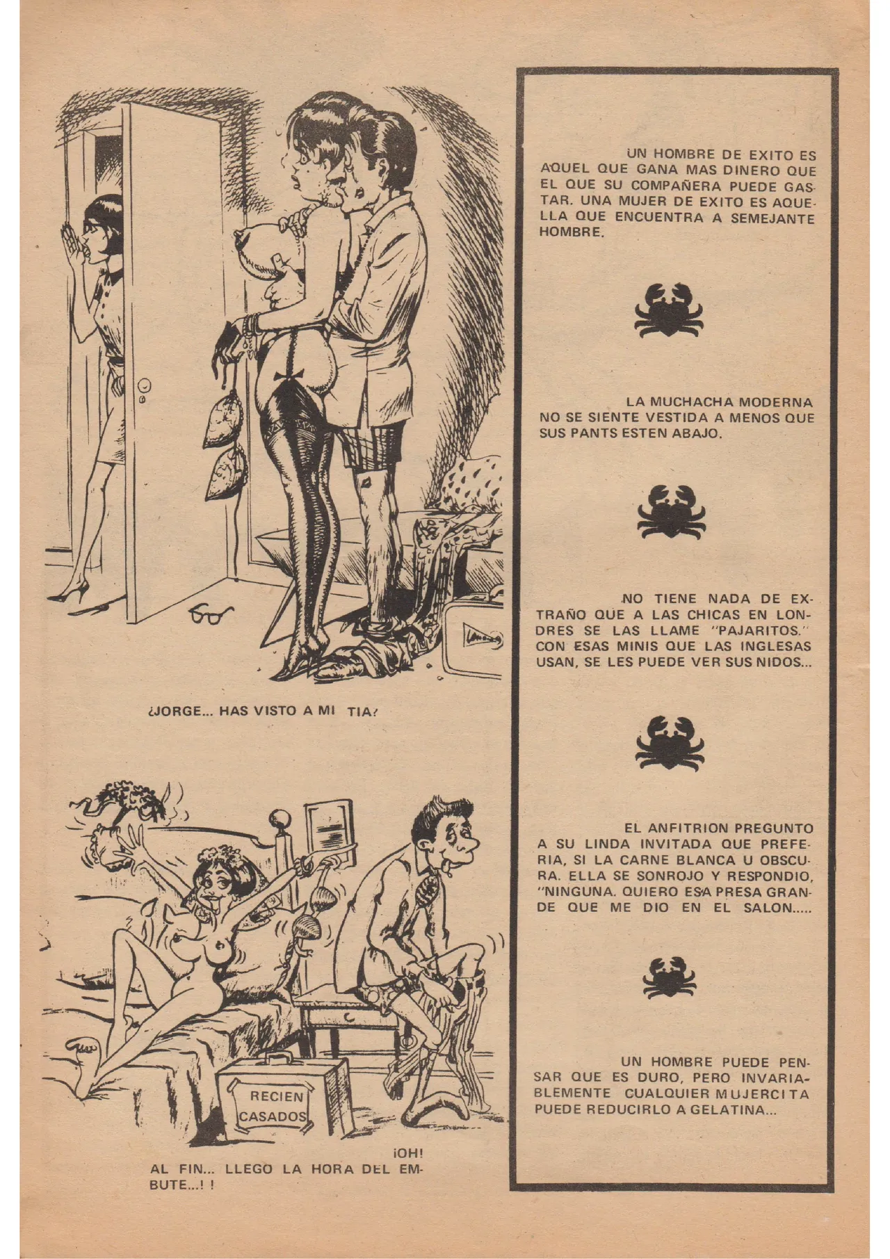 Revista Nat 104 image number 34