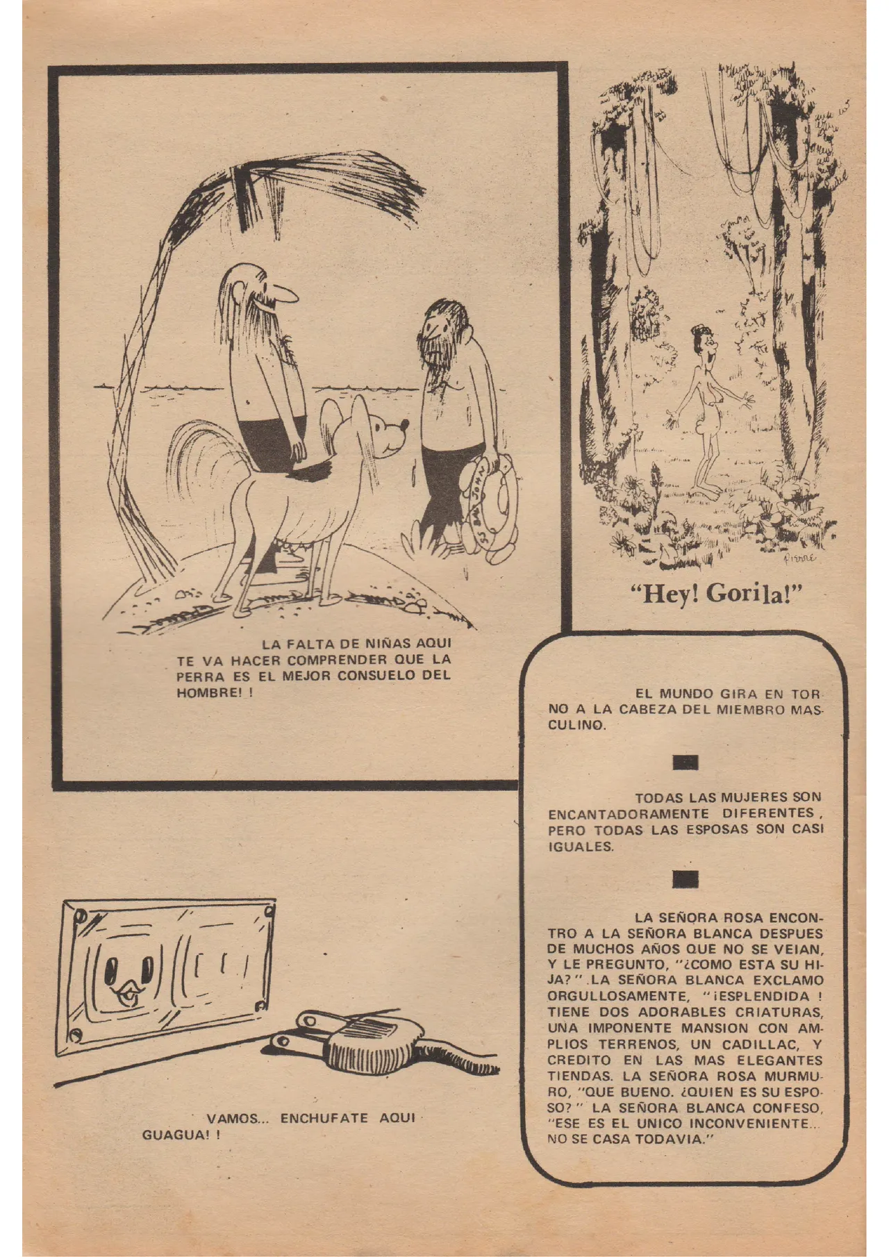 Revista Nat 104 image number 3