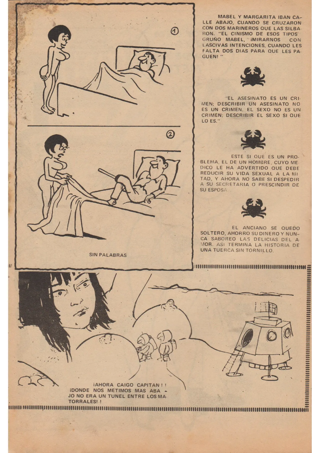 Revista Nat 104 image number 14