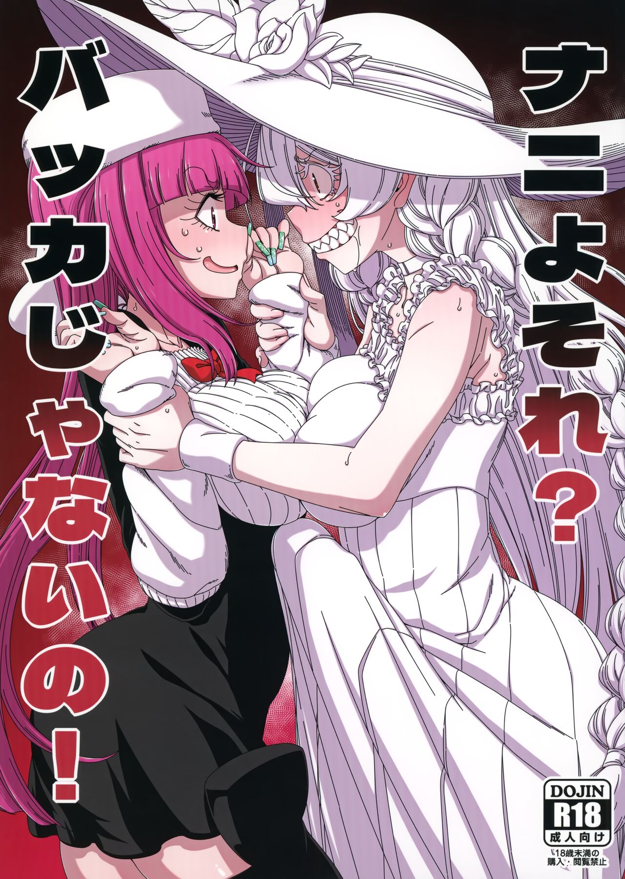 Nani yo Sore? Bakka janai no!  Whats That? Are you An Idiot!?