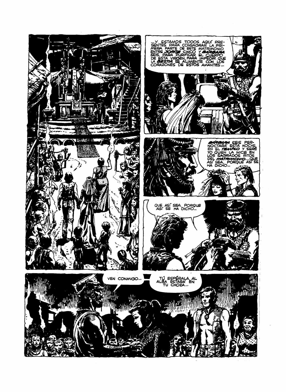 Barbara image number 13