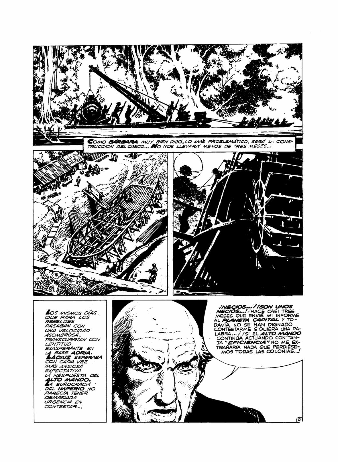 Barbara image number 336