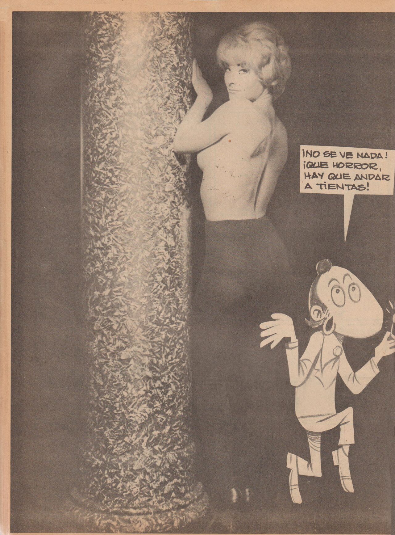 Pepe Antartico 019 image number 49