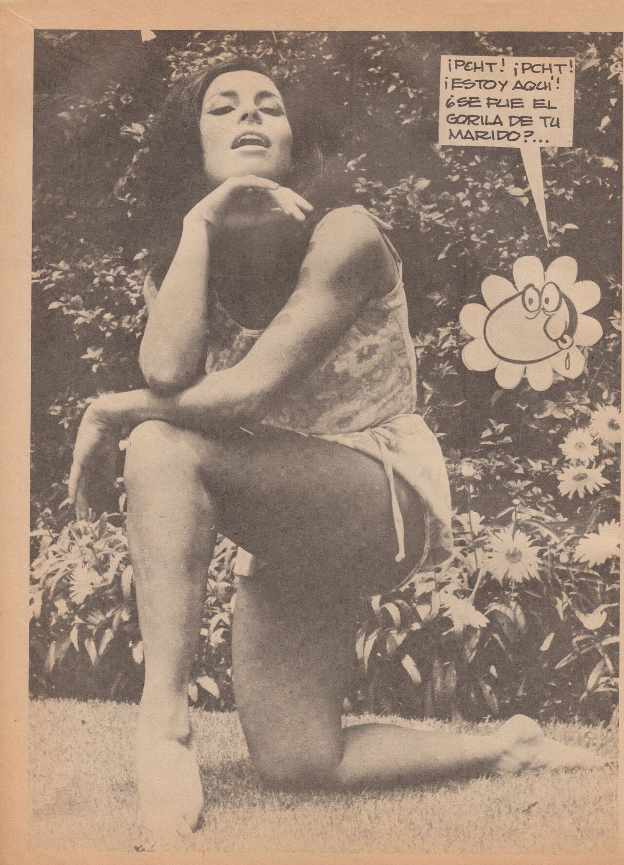 Pepe Antartico 019 image number 75