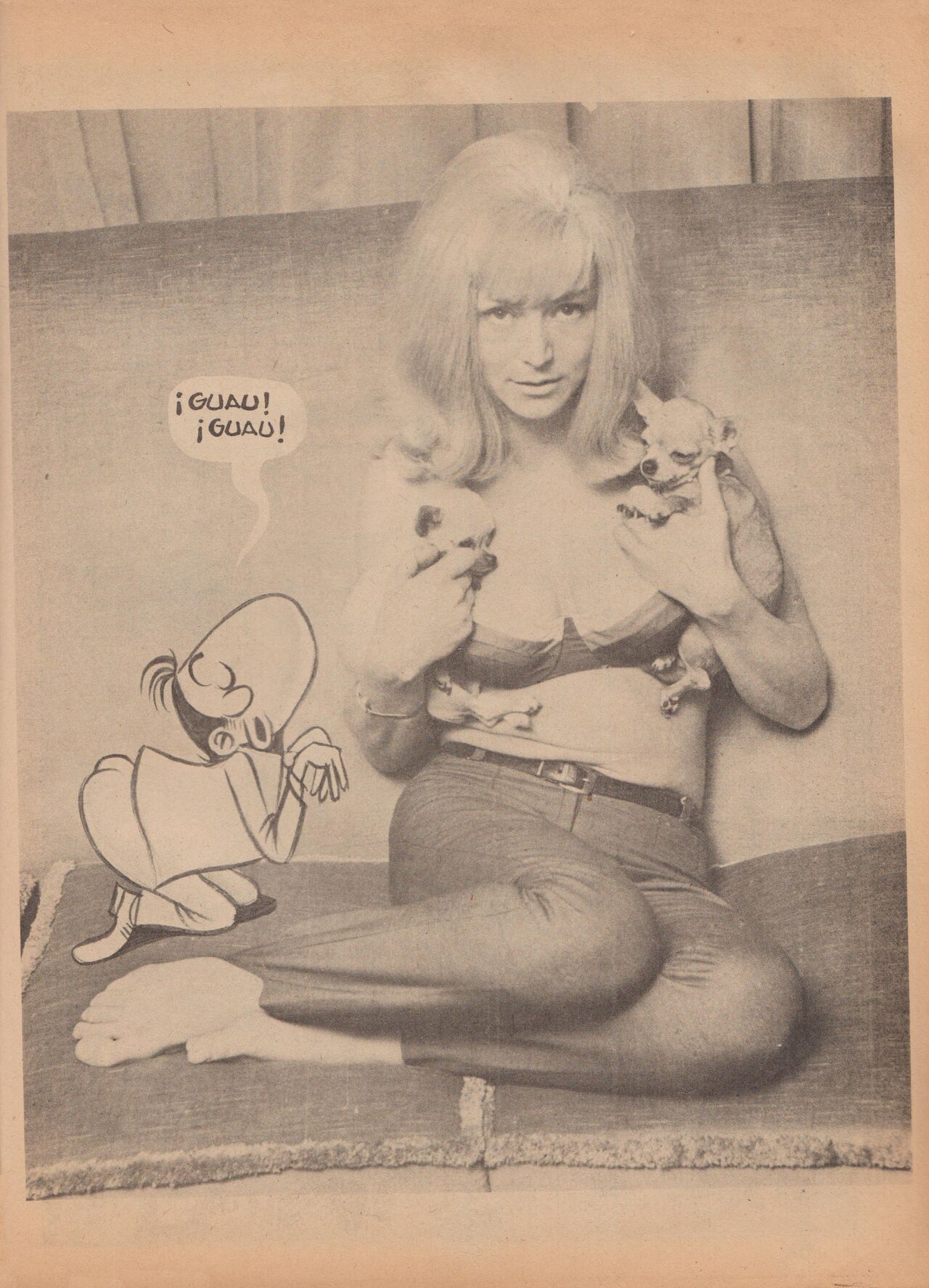 Pepe Antartico 019 image number 82