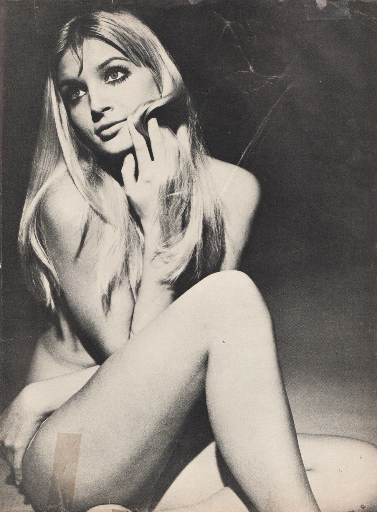 Pepe Antartico 019 image number 98