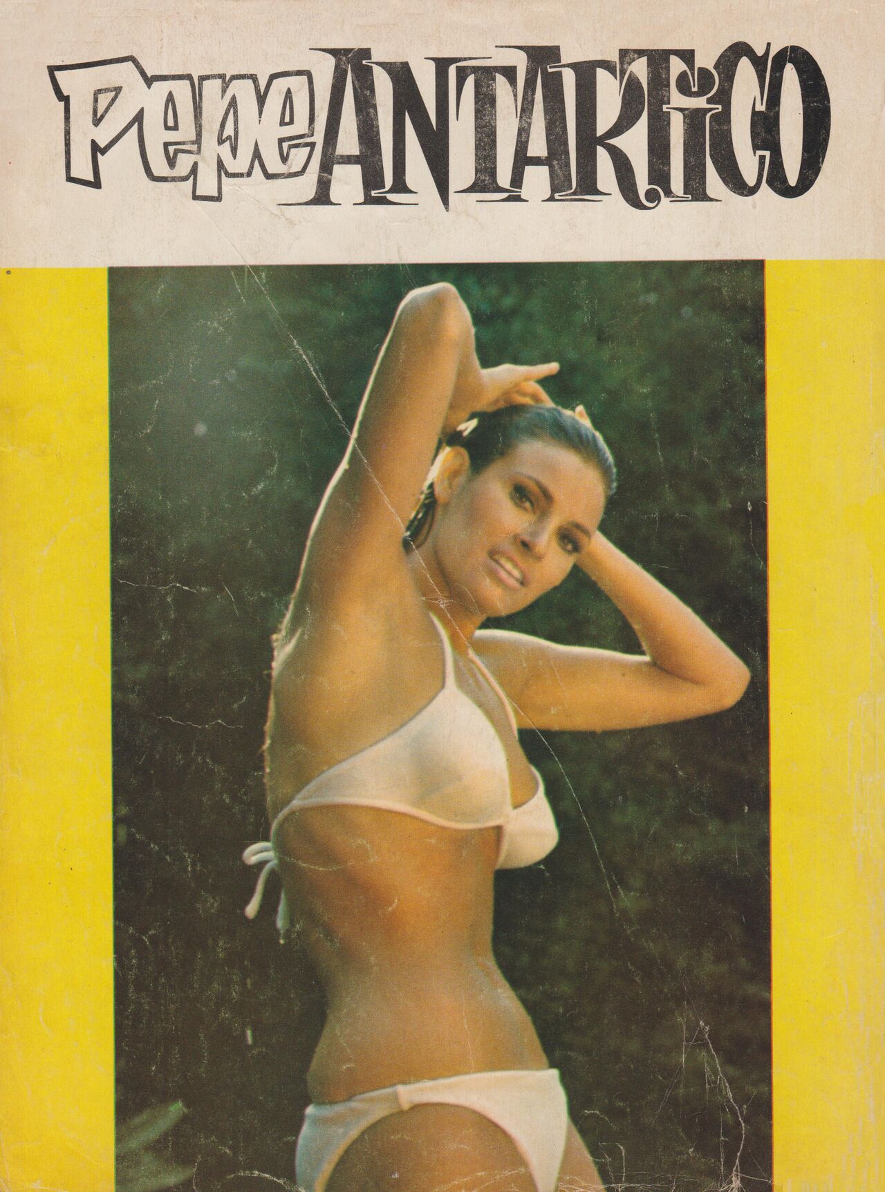 Pepe Antartico 019 image number 99