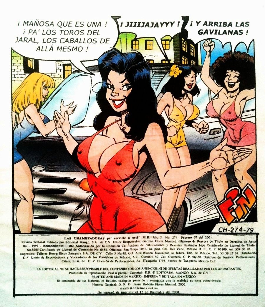 Las Chambeadoras 274 image number 51