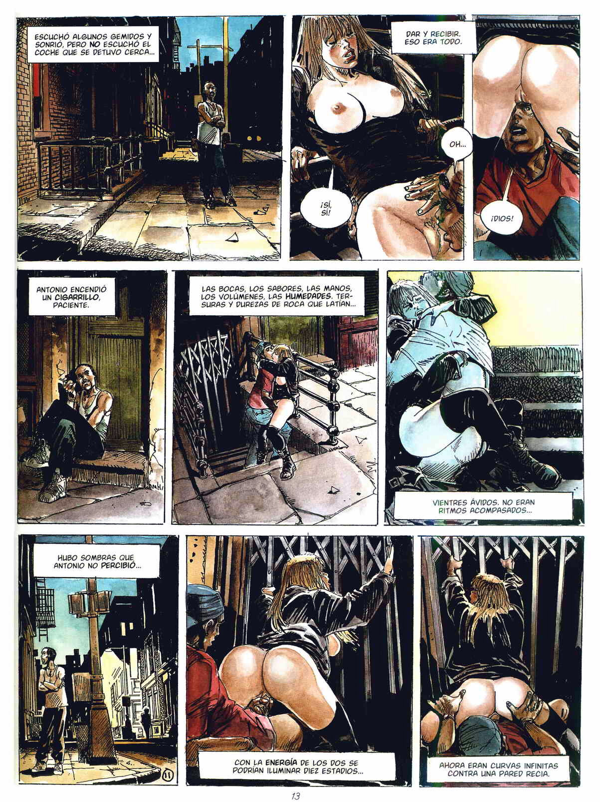 - Gato image number 11