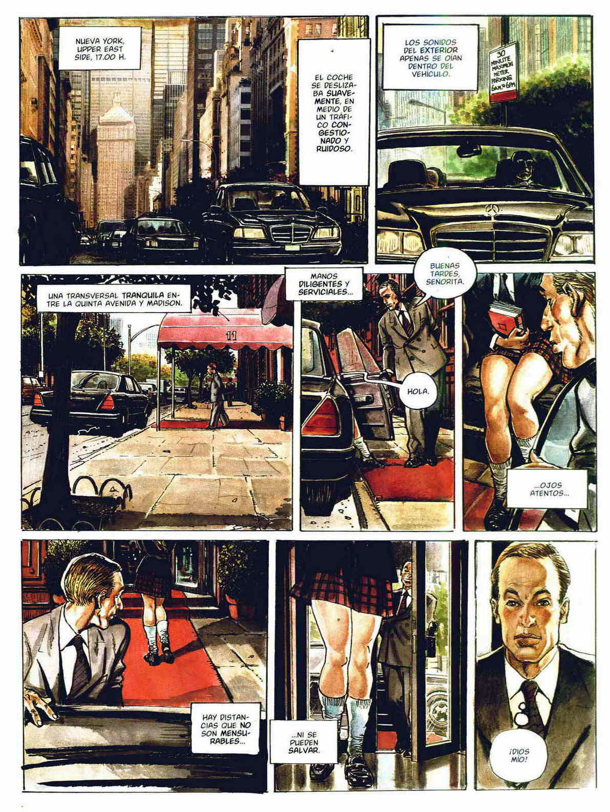 - Gato image number 1