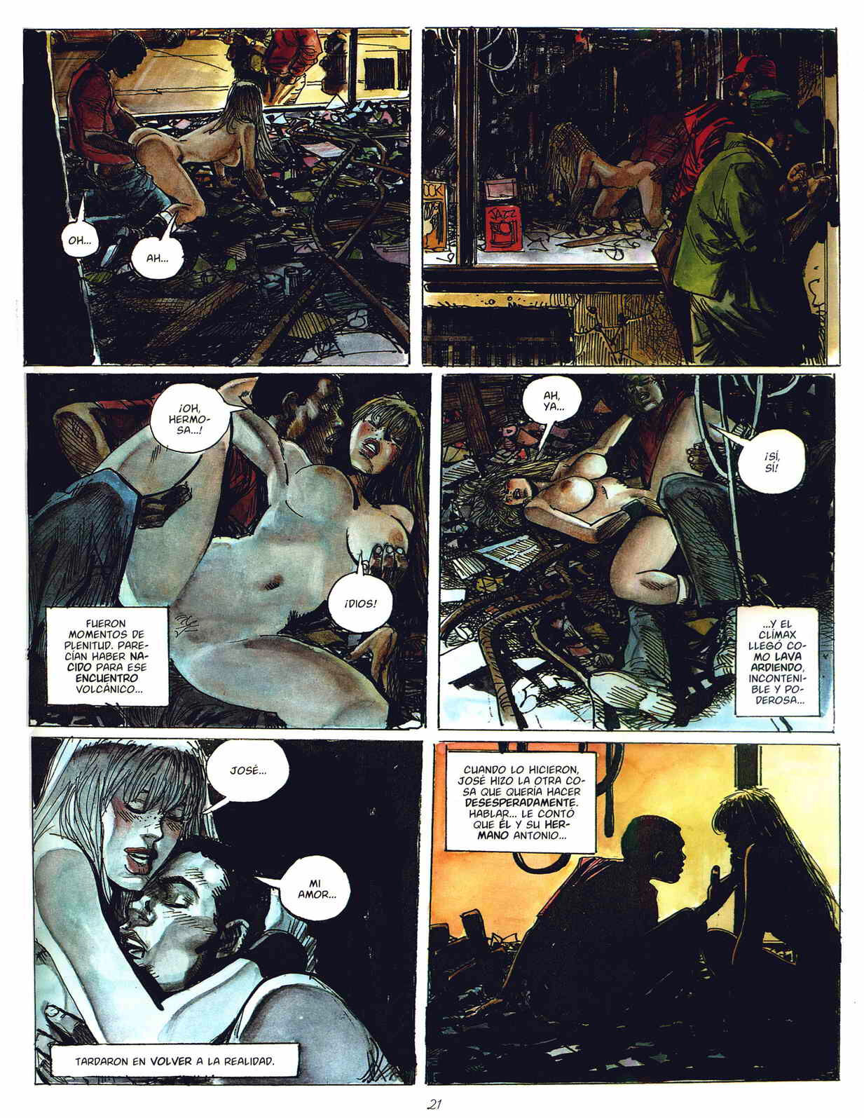 - Gato image number 19