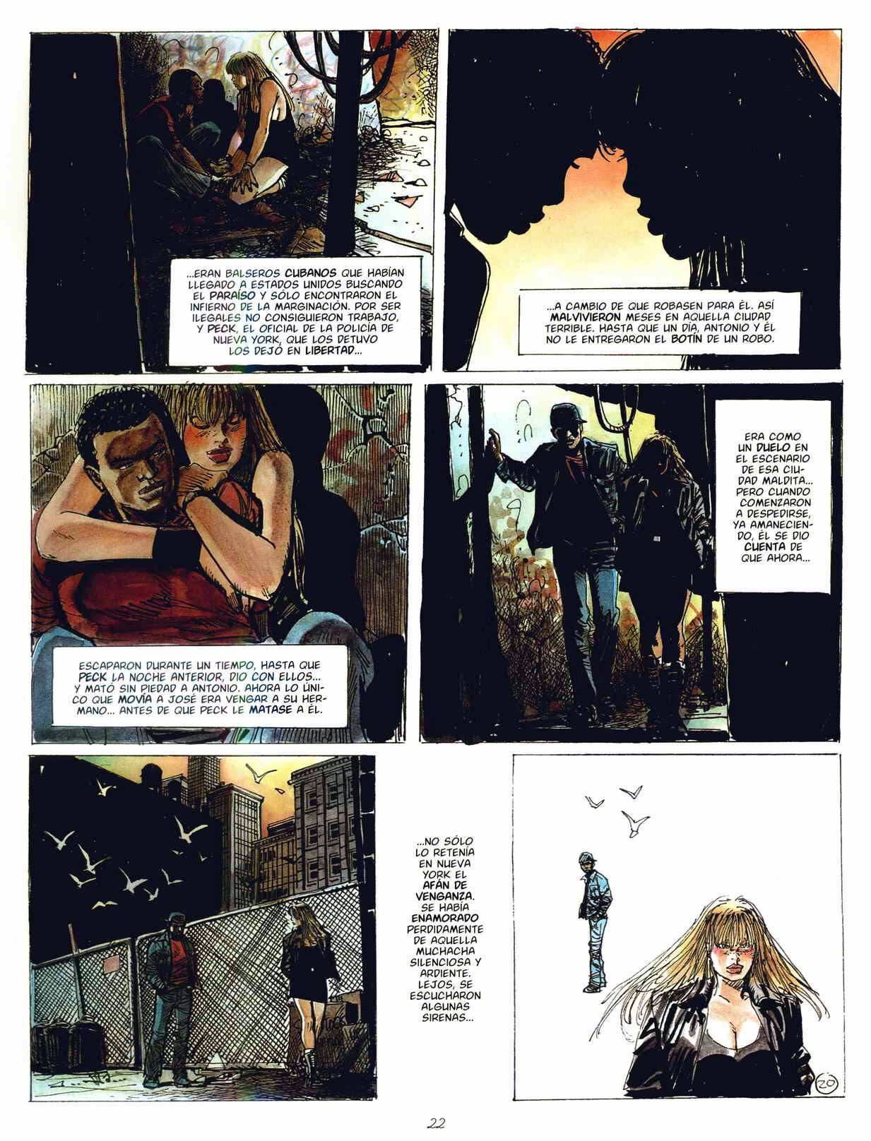 - Gato image number 20