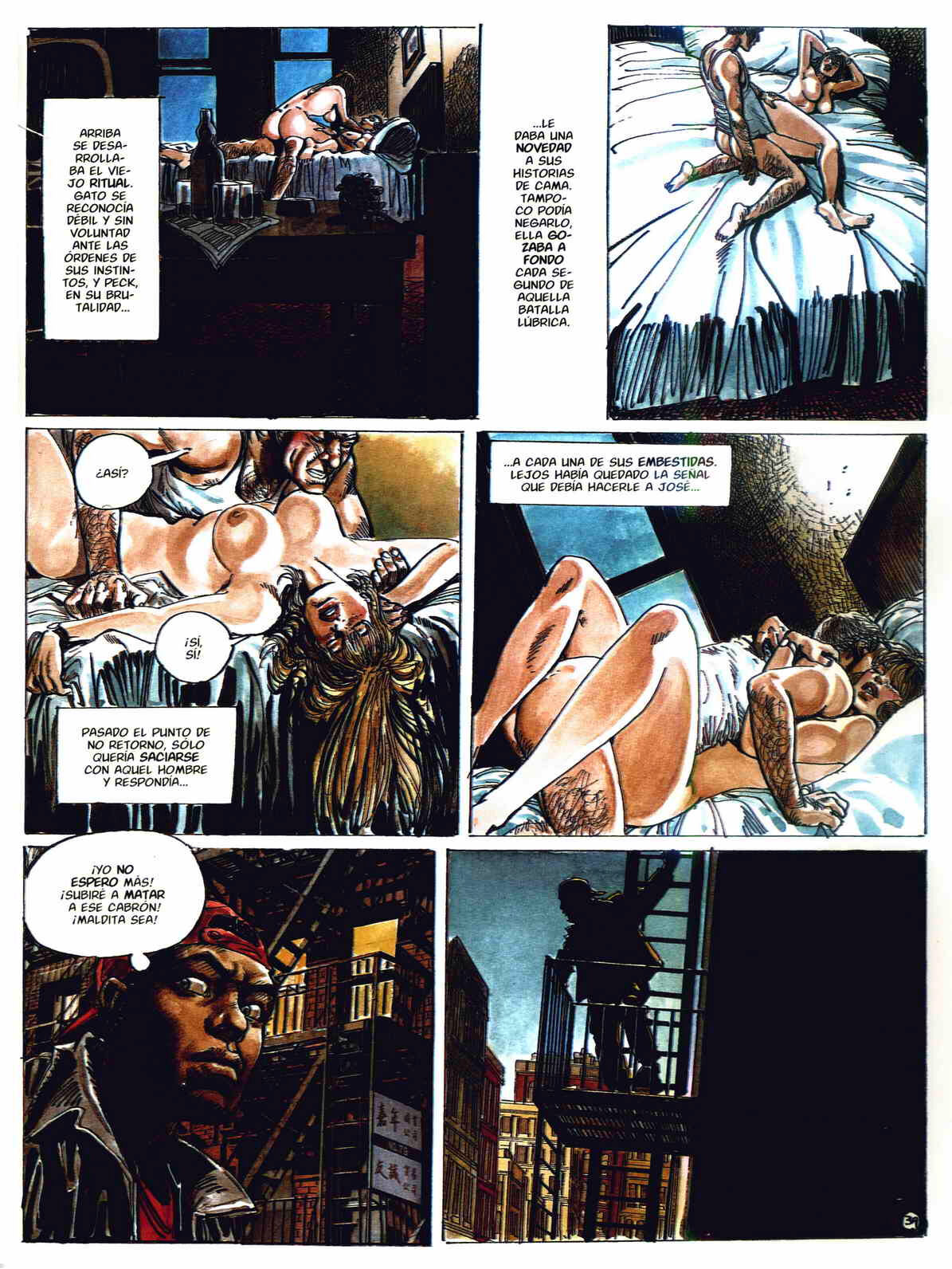 - Gato image number 39