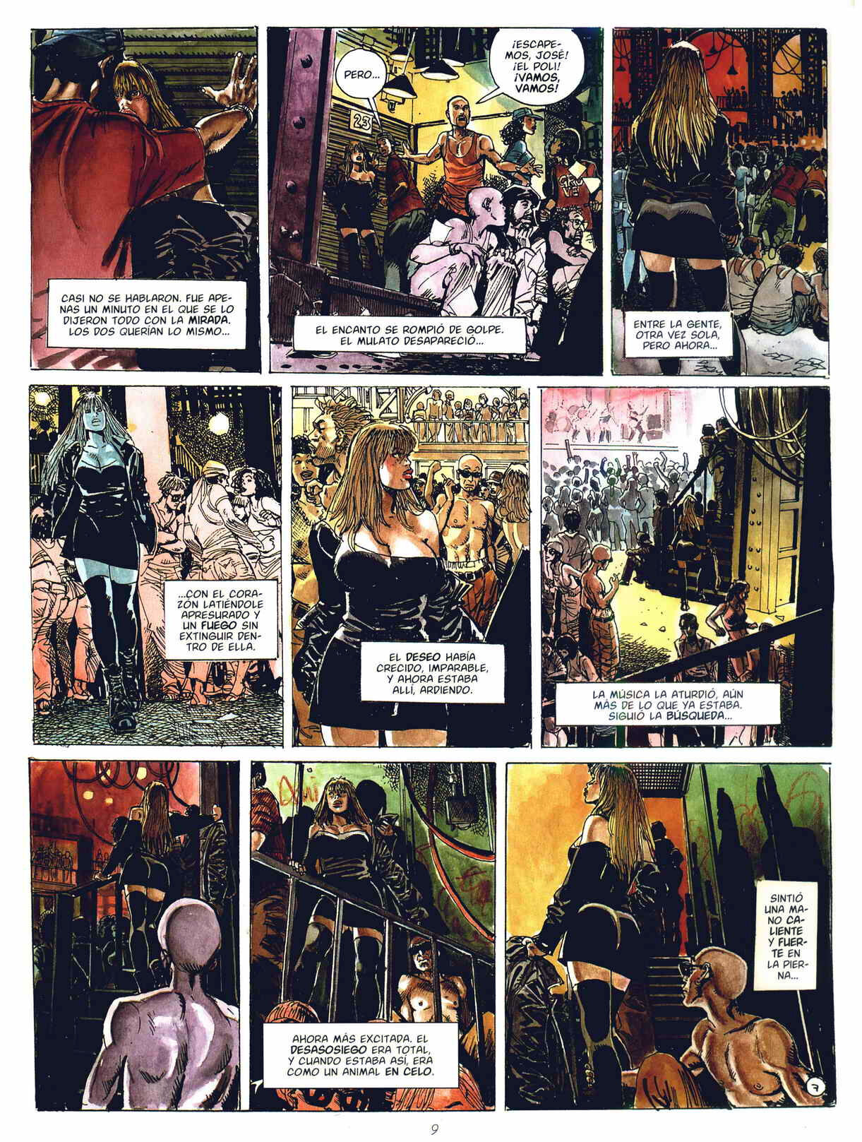 - Gato image number 7