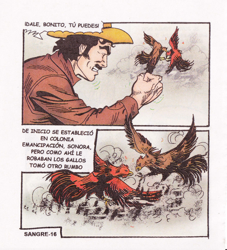 Sangre Caliente 0293 image number 17