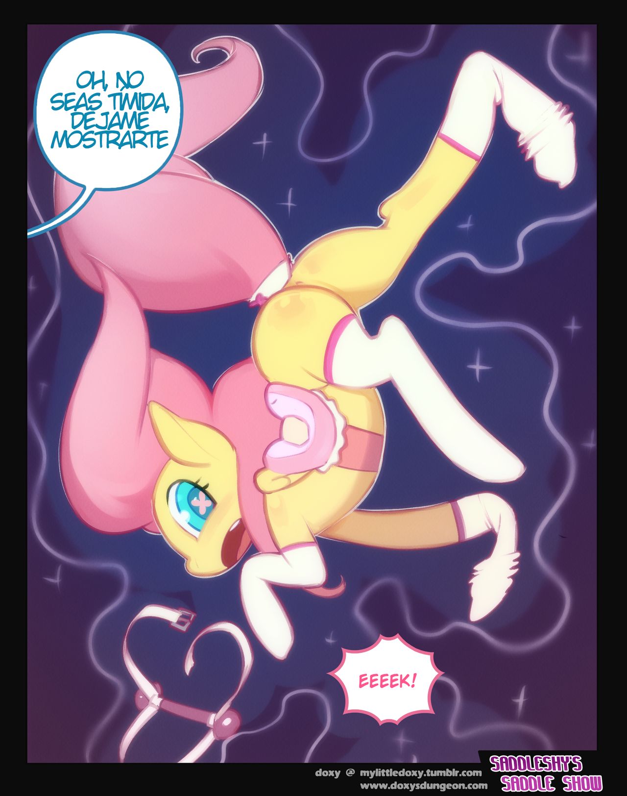 Saddleshys Saddle Show image number 2