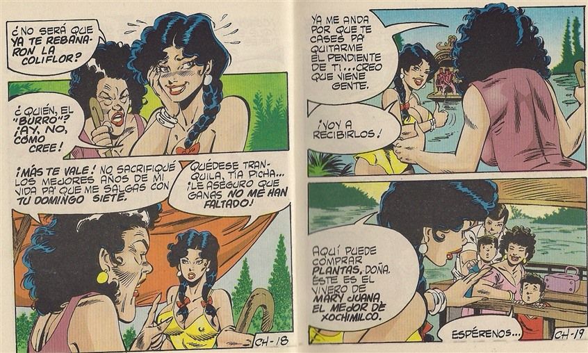 Las Chambeadoras 119 image number 10