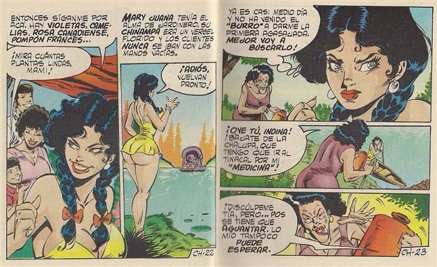 Las Chambeadoras 119 image number 12