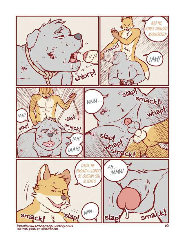 Collection image number 9