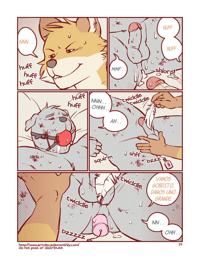 Collection image number 13