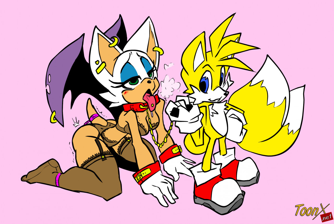 Rouge vs Tails image number 7