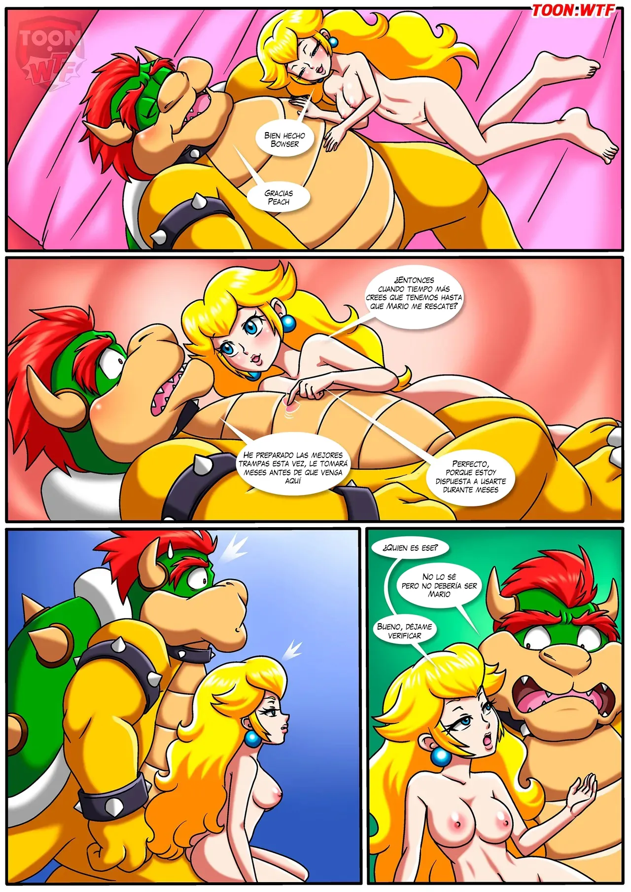 The Mushroom Kingdom Secret image number 14