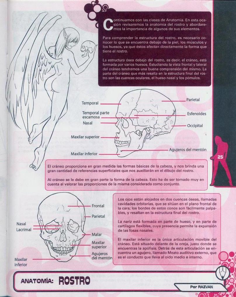 Dibujando Hentai Nueva Edición, vol.5 image number 27