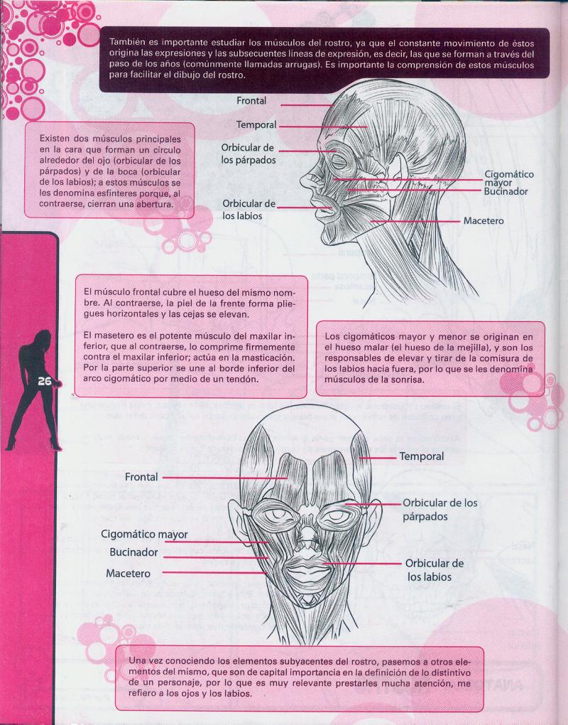 Dibujando Hentai Nueva Edición, vol.5 image number 28