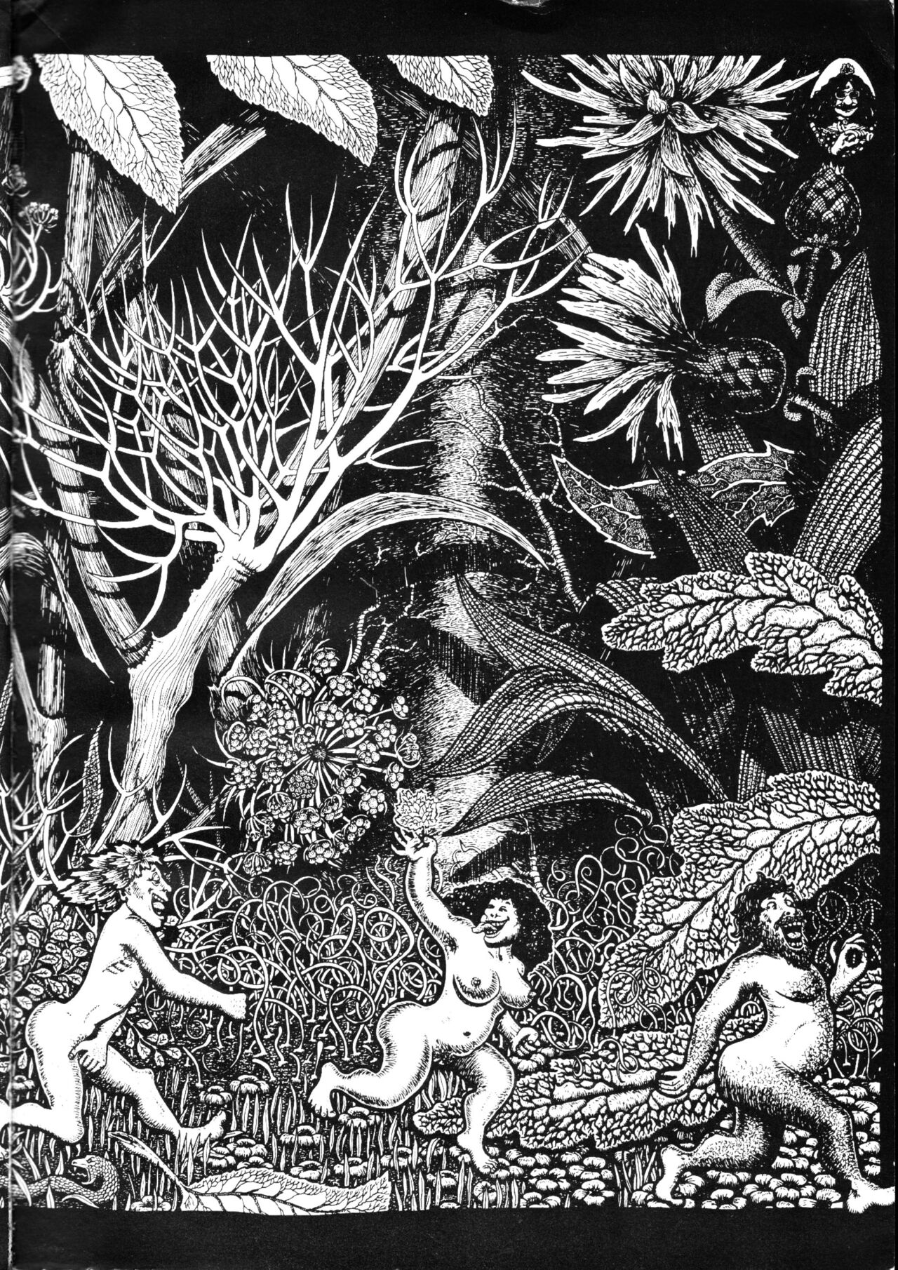 Nazario - San Reprimonio y las Pirañas image number 67