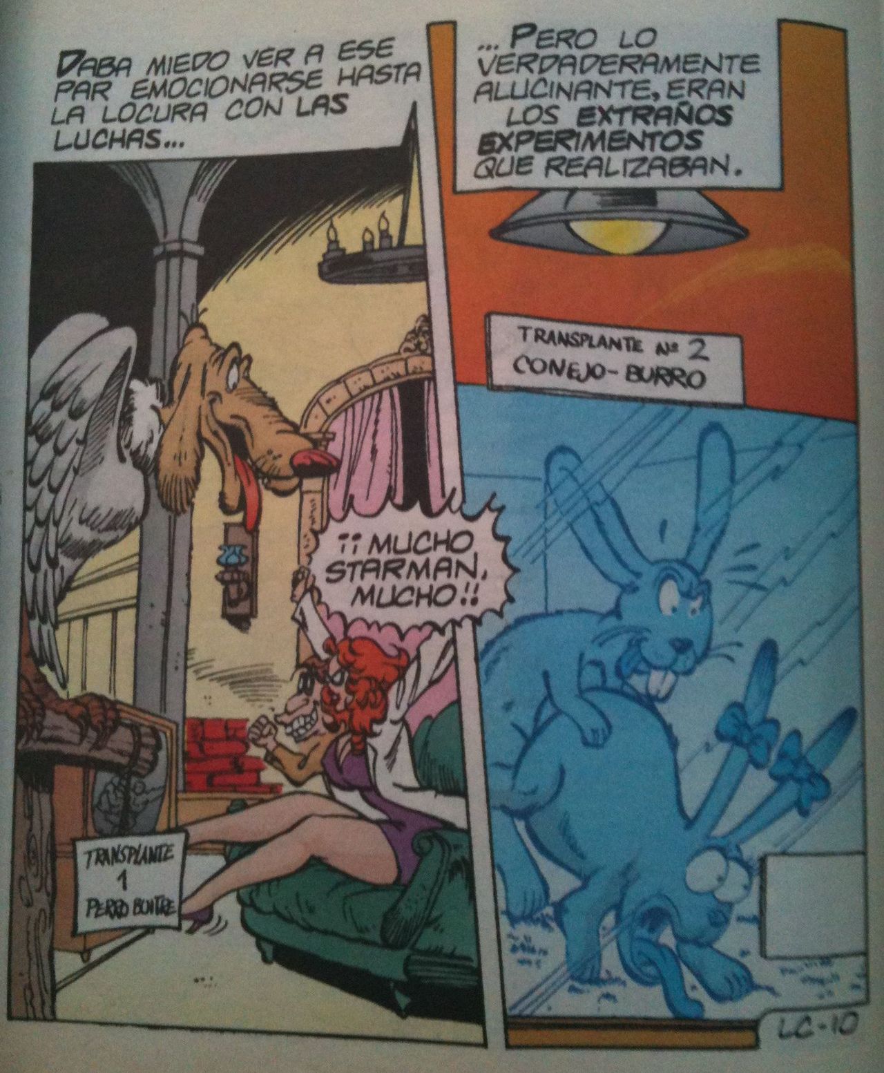 Luchas Calientes 024 image number 10