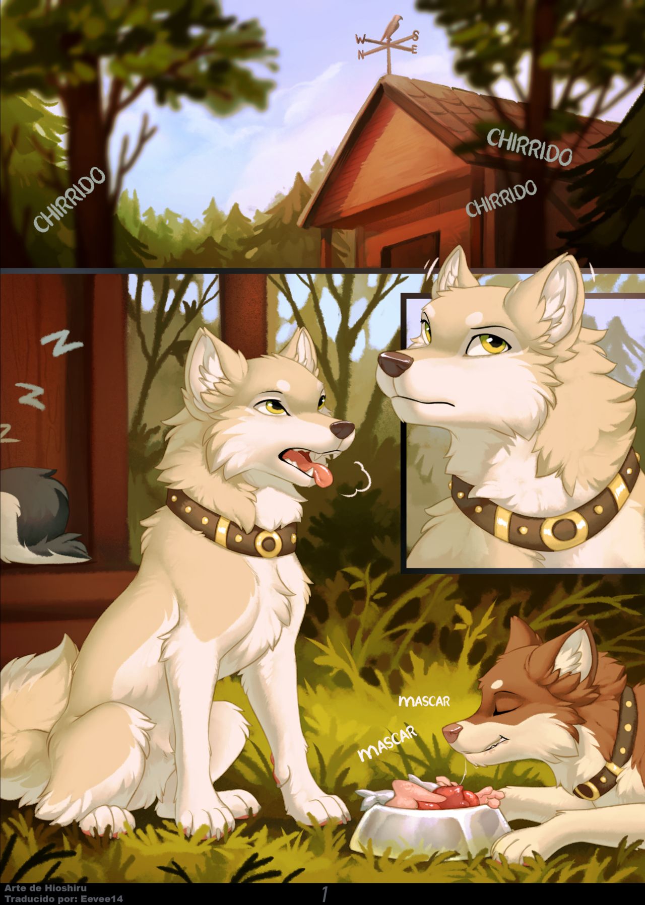 Entangled image number 1