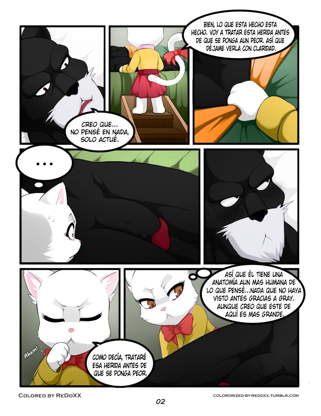 El Tamaño Importa image number 2