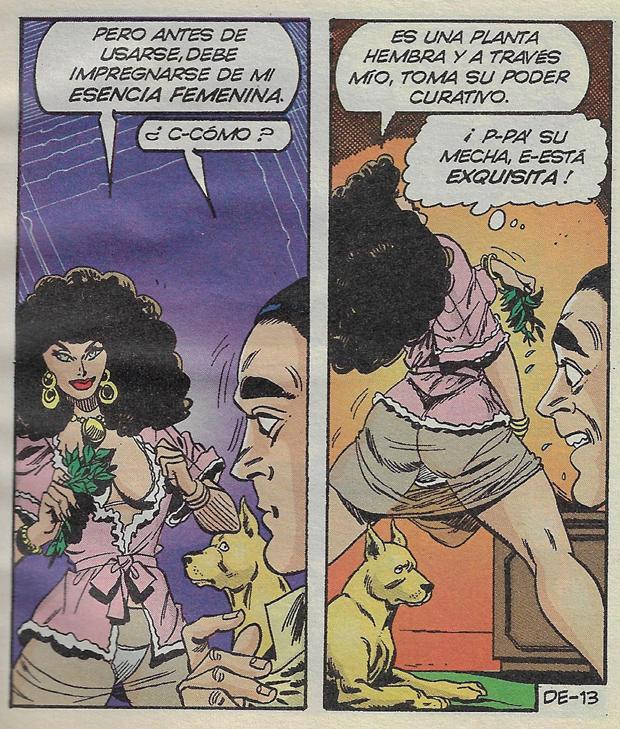 Delmonicos Erotika 016 image number 13