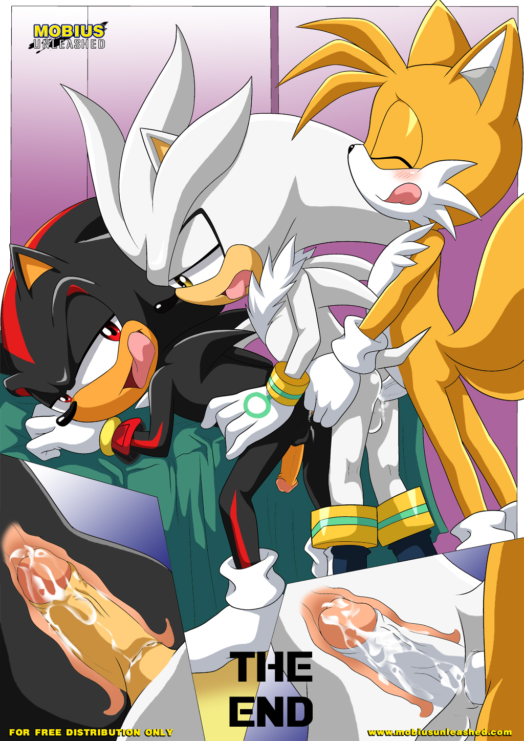 Shadow & Tails image number 11