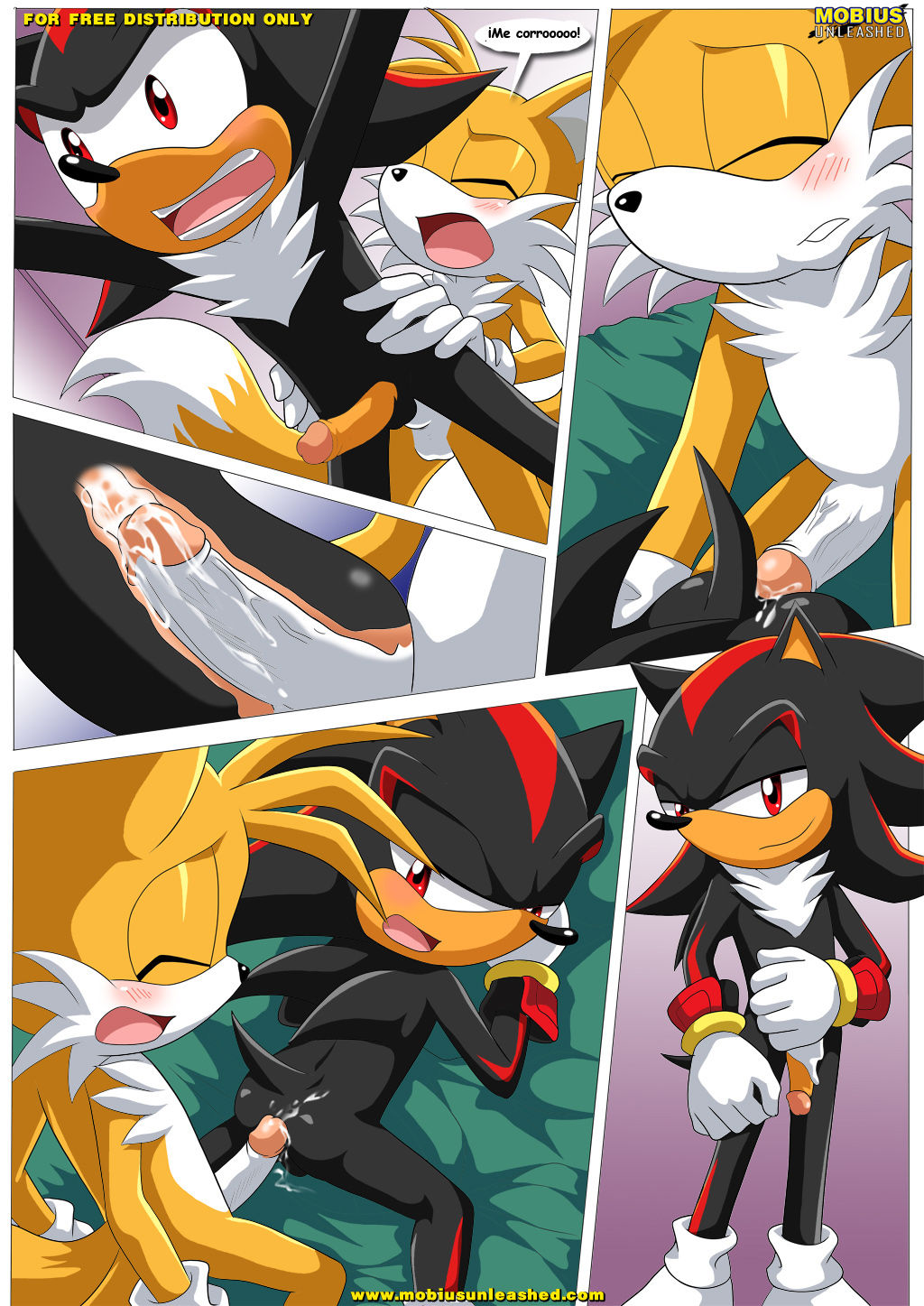 Shadow & Tails image number 3