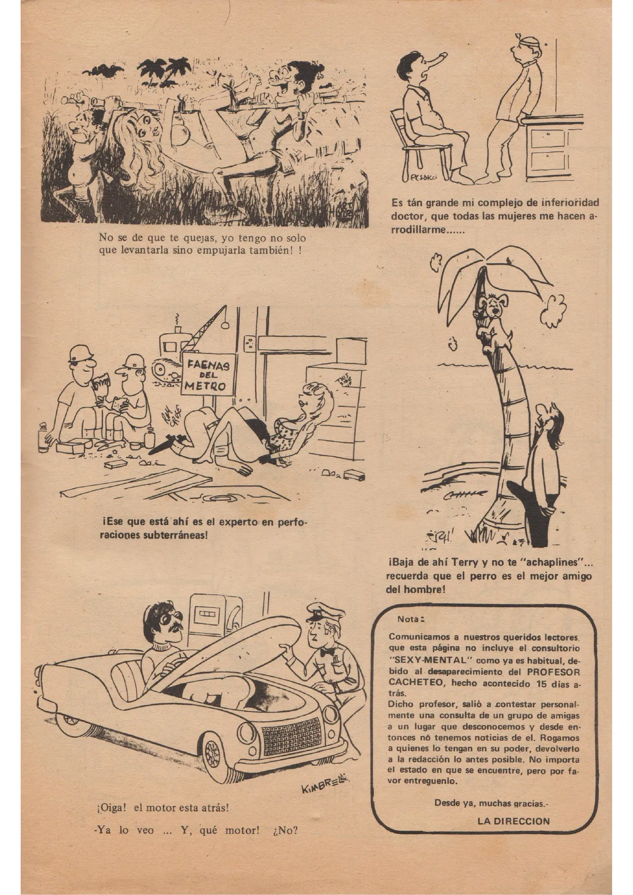 Revista Nat 85 image number 32