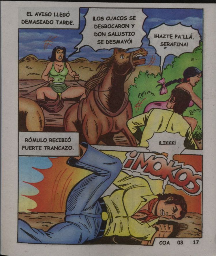 El Consolador Anonimo 0003 image number 16