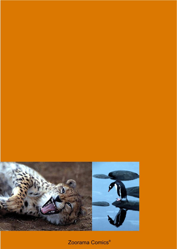 Zoorama Esp 0 image number 28