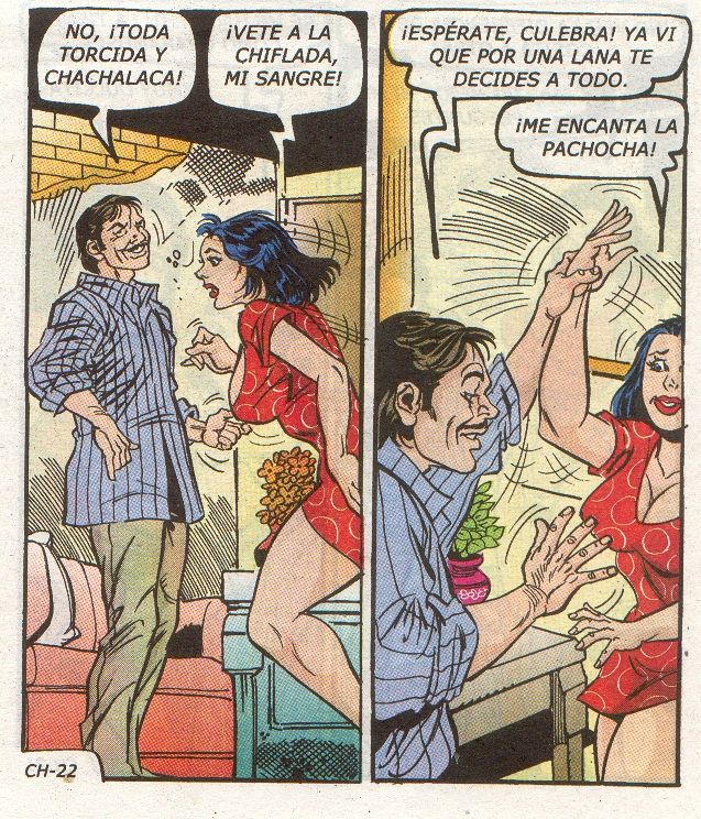 Chambeadoras 318 Spanish image number 22