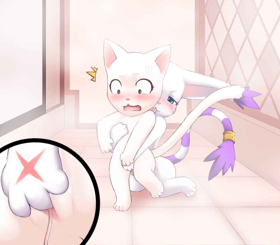 Pussy Lessons  LKNOFansub image number 2