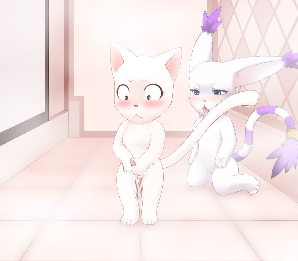 Pussy Lessons  LKNOFansub image number 4