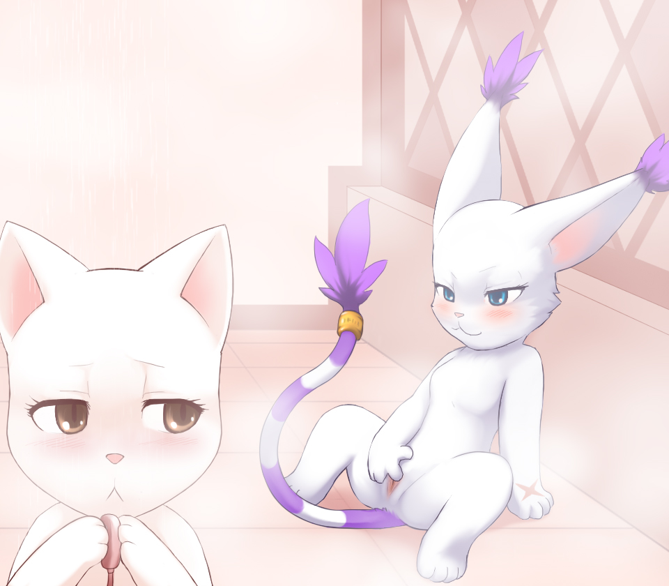 Pussy Lessons  LKNOFansub image number 5