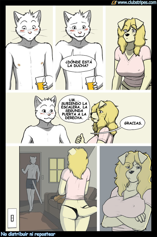 El Valet Y lLa Zorra 1-3 image number 15