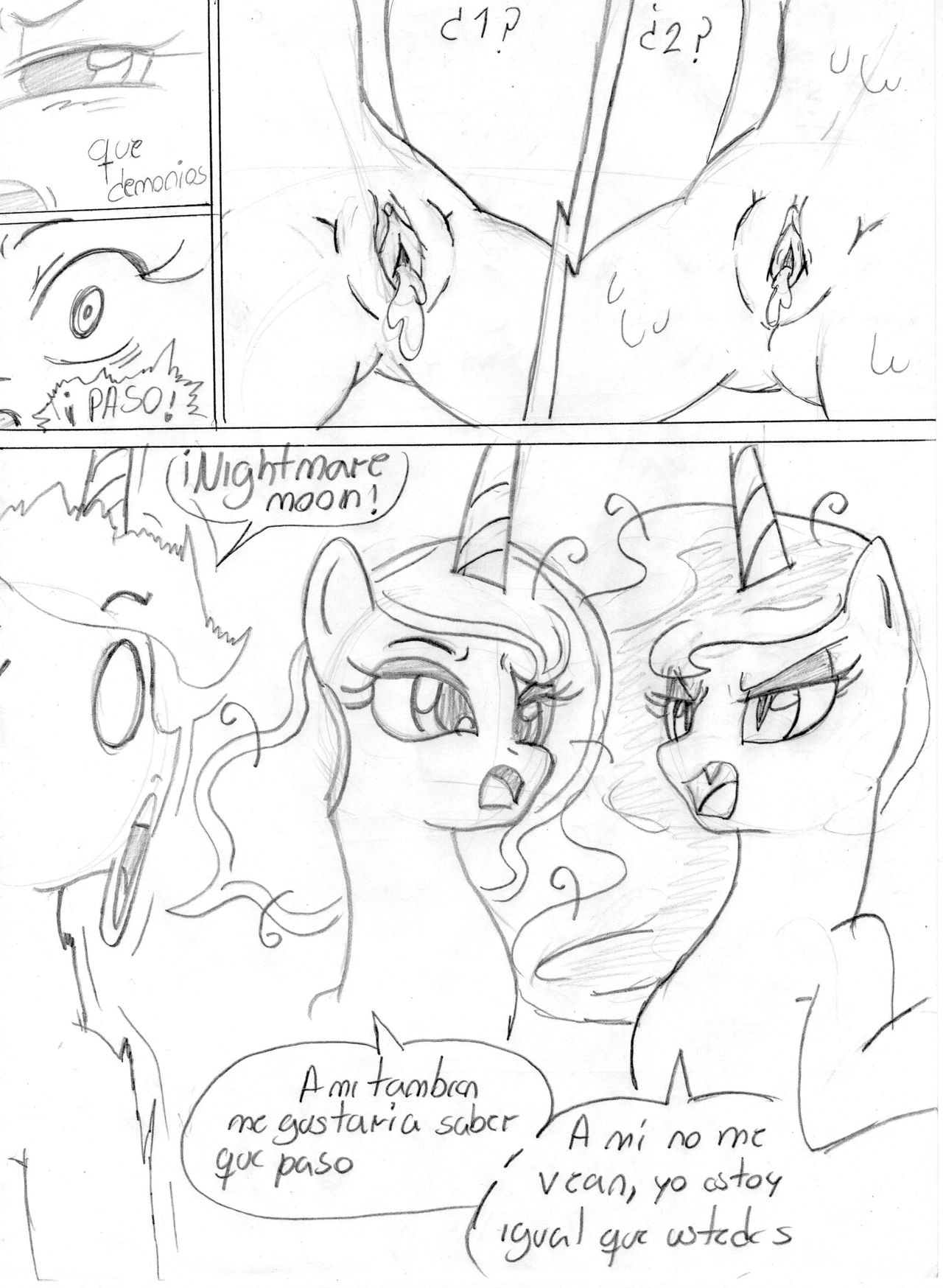 planilla image number 5