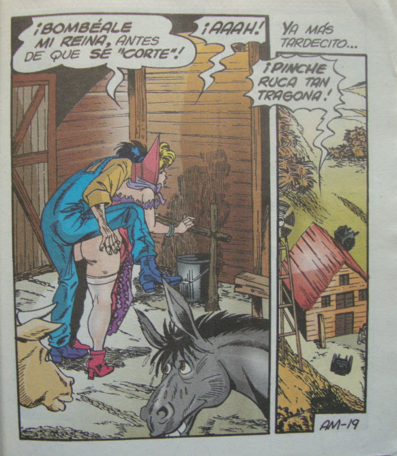 Aca Los Maistros 27 image number 11