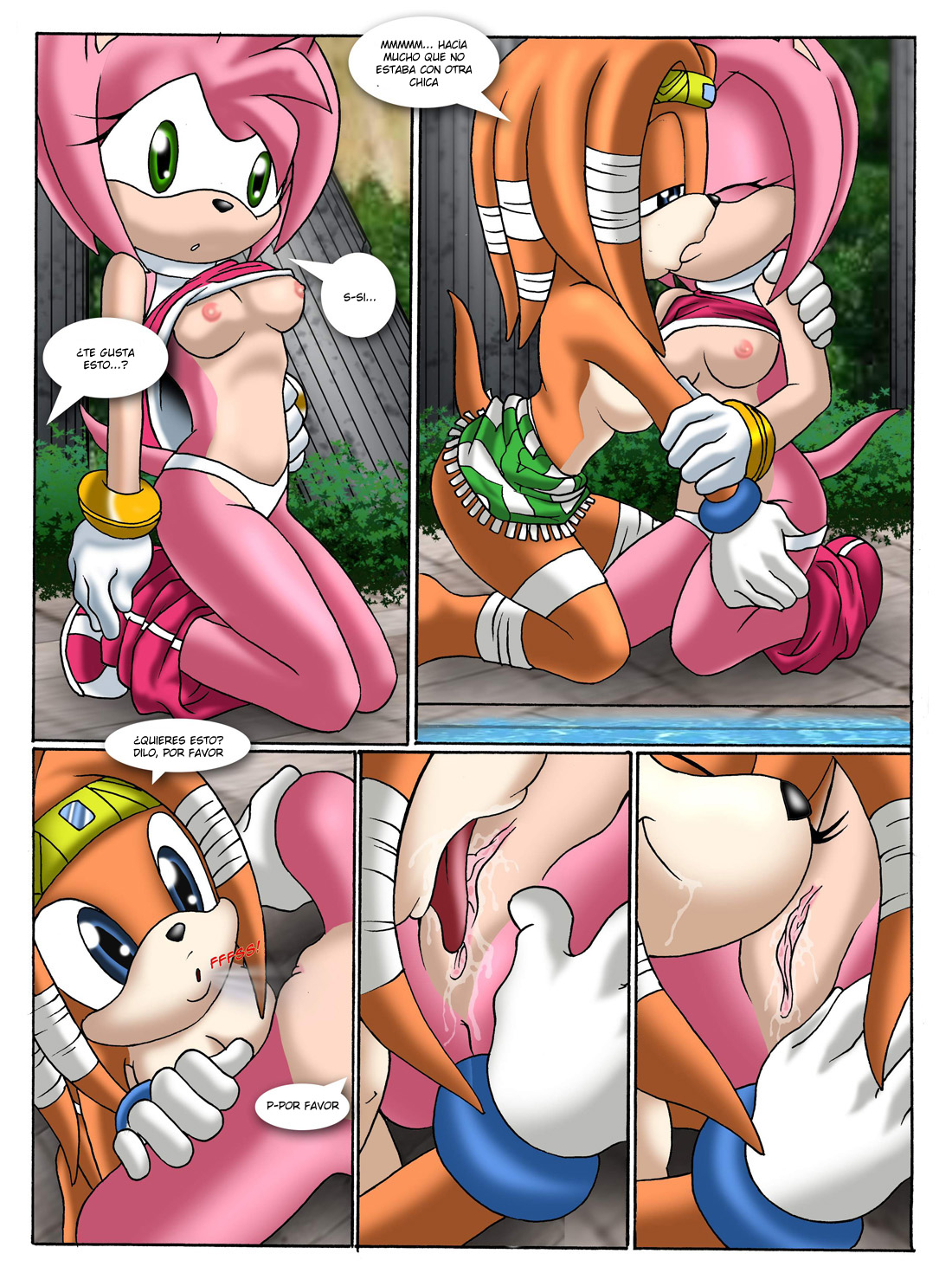 Sonic XXX Project 2 image number 15